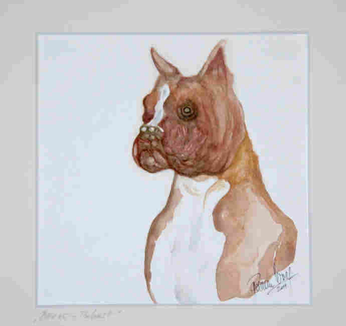 156  A  Boxer - Portrait  2011  Aquarell  p250 guardi