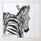 068a  A  Junges Zebra  2011  Tuschez  17,5 x 25  p350 PP